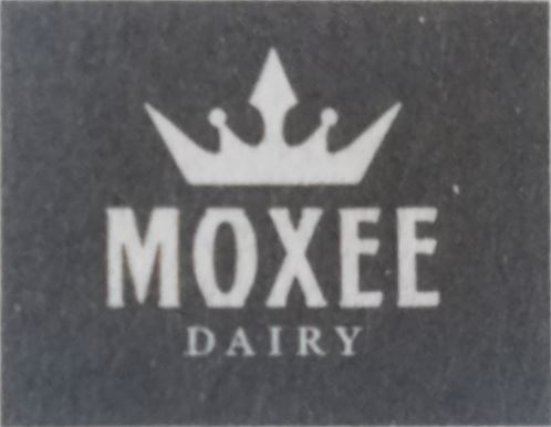 Moxee Dariy Logo